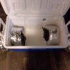 Pre Made Miner Cooler, Sound Reduction W/AC Ducting